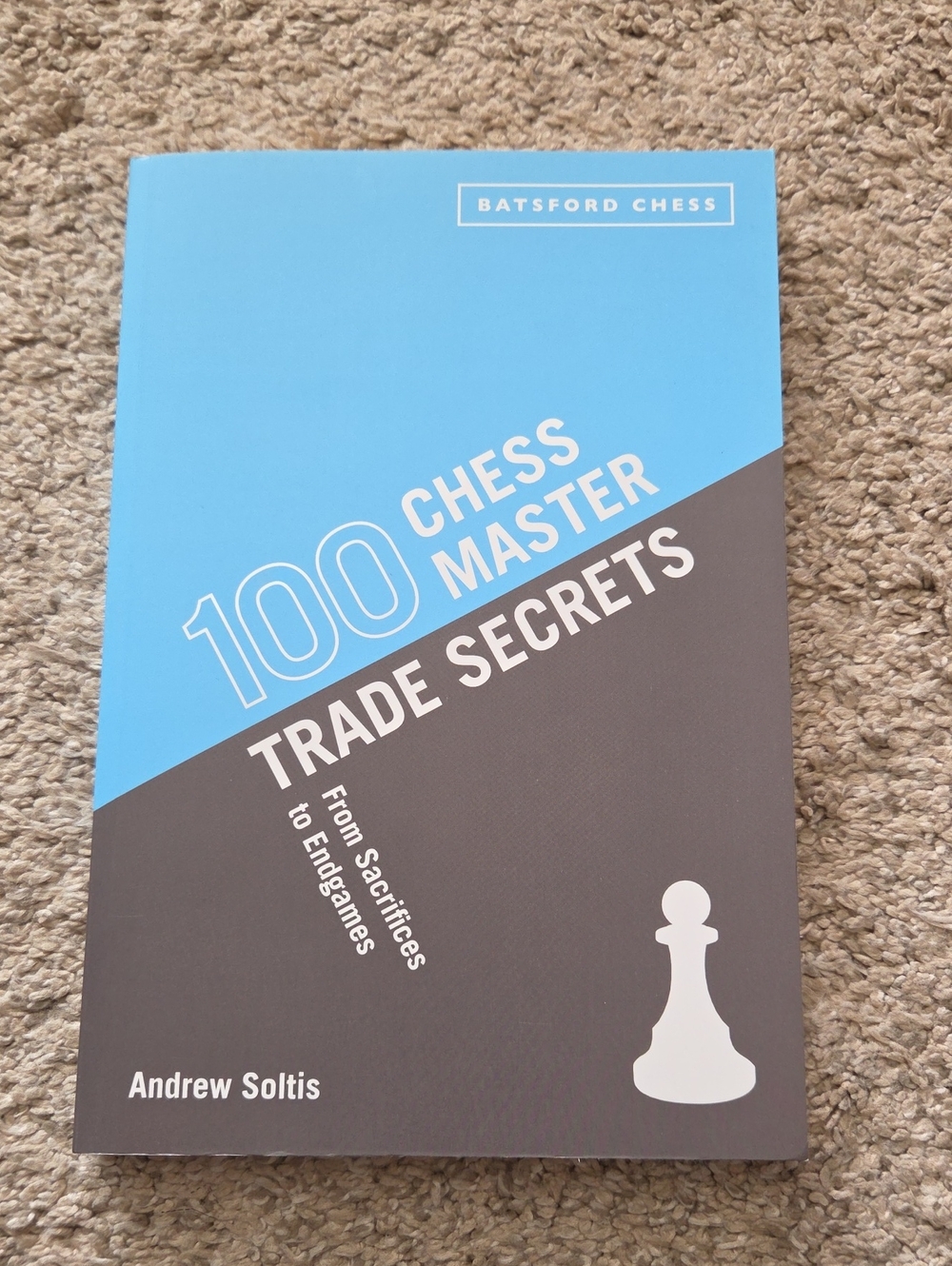 100 Chess Master Trade Secrets: From Sacrifices to Endgames by Andrew Soltis